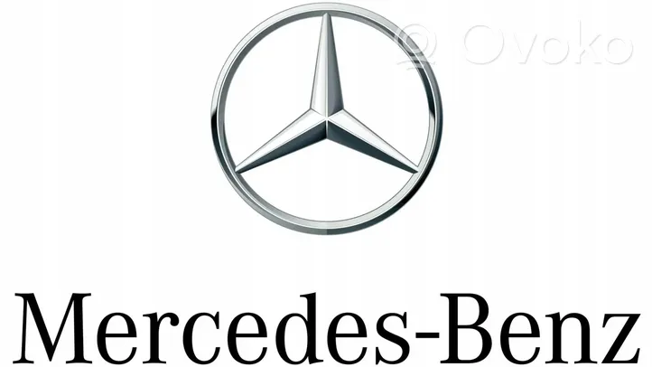 Mercedes-Benz C W203 Rivestimento della portiera anteriore (modanatura) A2036902982