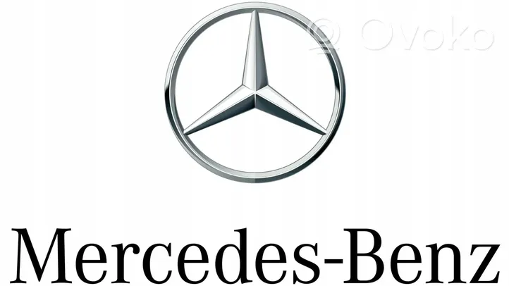 Mercedes-Benz Vaneo W414 Priekšpusē durvju dekoratīvā apdare (moldings) A4146981185