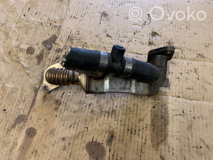 Volkswagen PASSAT B5 Refroidisseur de vanne EGR BH0045131513