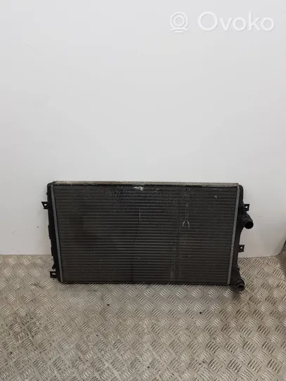 Volkswagen PASSAT B6 Dzesēšanas šķidruma radiators 1K0121253AB
