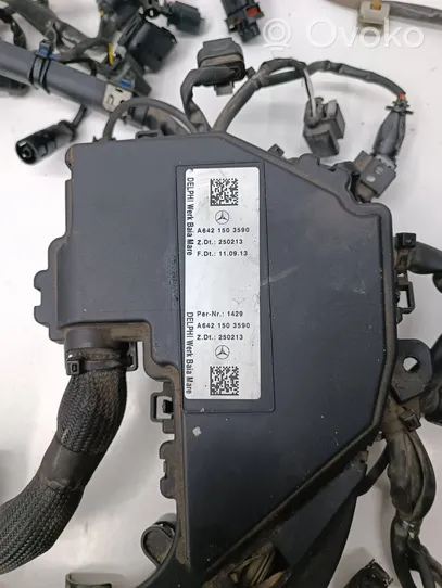 Mercedes-Benz S W222 Faisceau de câblage pour moteur A6421593625