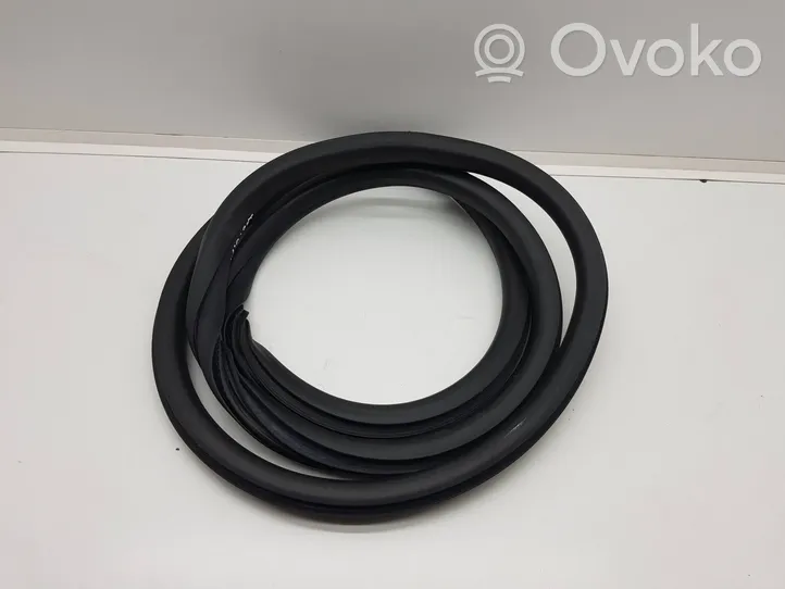 Peugeot 208 Rear door rubber seal (on body) 9673170080