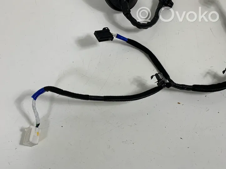 Hyundai i30 Rear door wiring loom 91660G4060