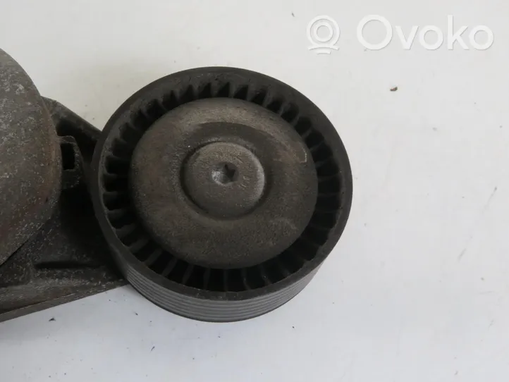 Volkswagen New Beetle Generator/alternator belt tensioner 