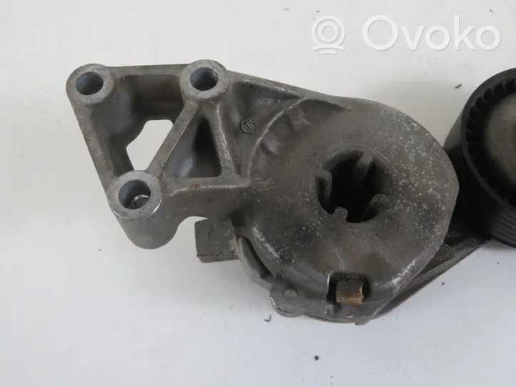 Volkswagen New Beetle Generator/alternator belt tensioner 