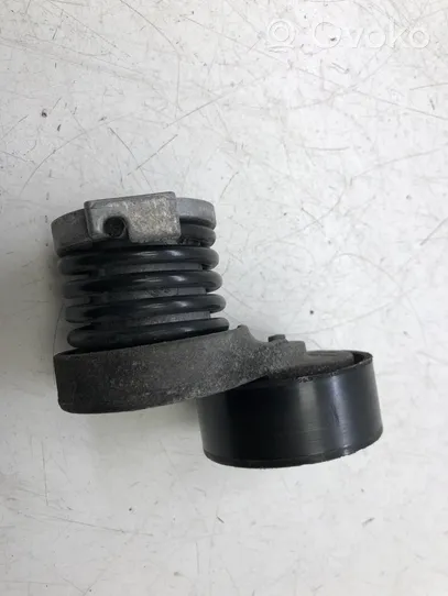 Nissan Qashqai Generatoriaus diržo įtempėjas 6563010