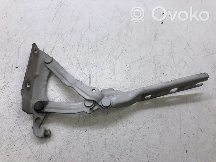 Volkswagen Golf VI Engine bonnet/hood hinges 