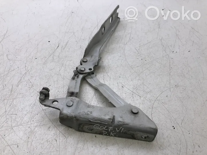 Volkswagen Golf VI Engine bonnet/hood hinges 