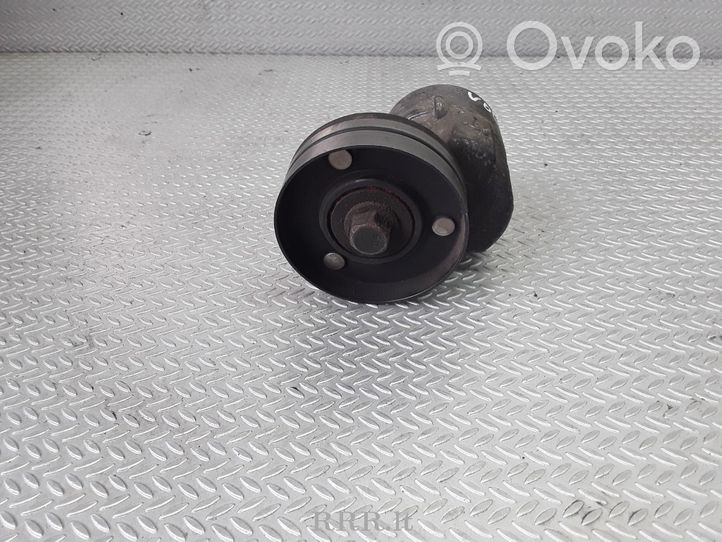 Volvo S40, V40 Tendicinghia generatore/alternatore 9146249