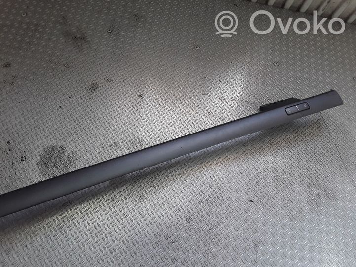 Volkswagen Phaeton Rivestimento del vano portaoggetti del cruscotto 3D1858336E