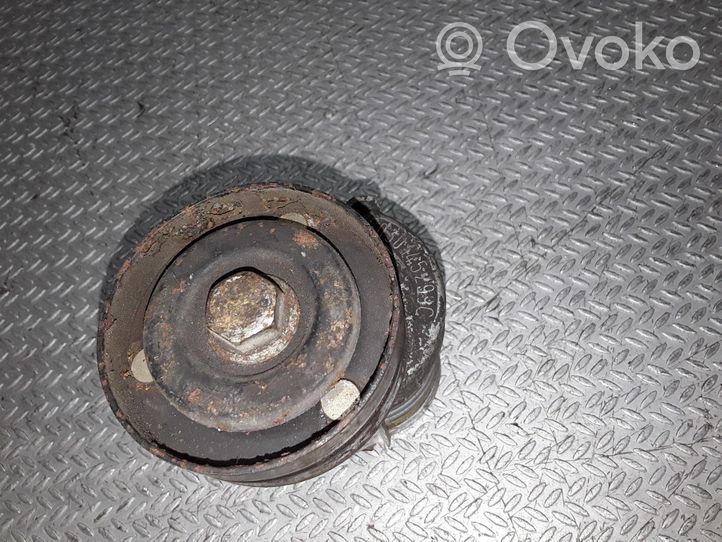 Skoda Fabia Mk1 (6Y) Napinacz paska alternatora 030145299C