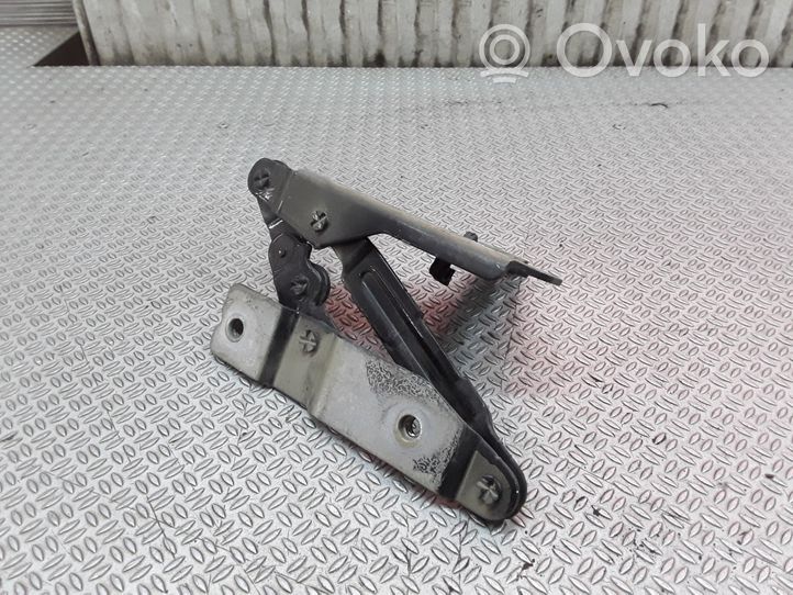 Seat Toledo III (5P) Cerniere del vano motore/cofano 5P08233028