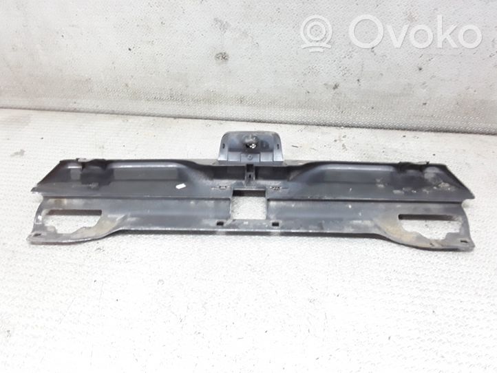 Peugeot 406 Oberes Gitter vorne 9616258477