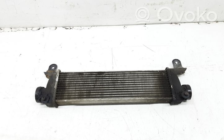 Mercedes-Benz Vaneo W414 Intercooler radiator A1685000000