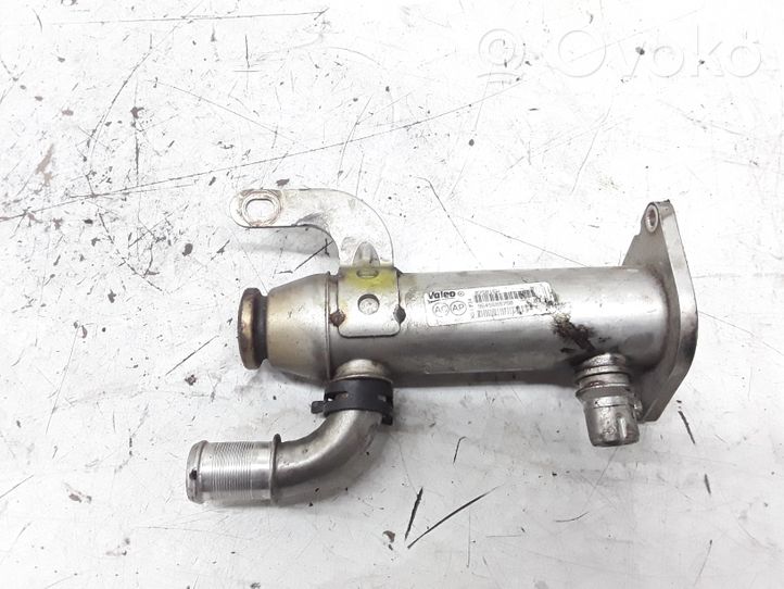 Citroen C5 EGR-venttiili/lauhdutin 9645689780