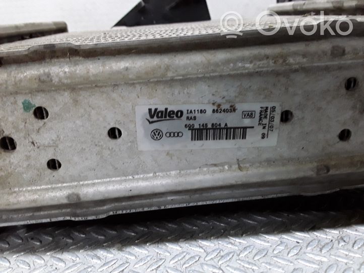 Volkswagen Polo IV 9N3 Chłodnica powietrza doładowującego / Intercooler 6Q0145804A