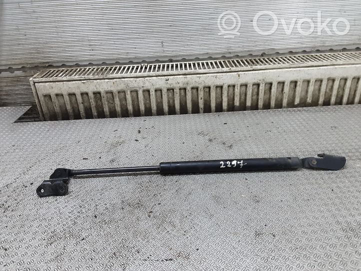 Hyundai Terracan Vérin, capot-moteur 81150H1000