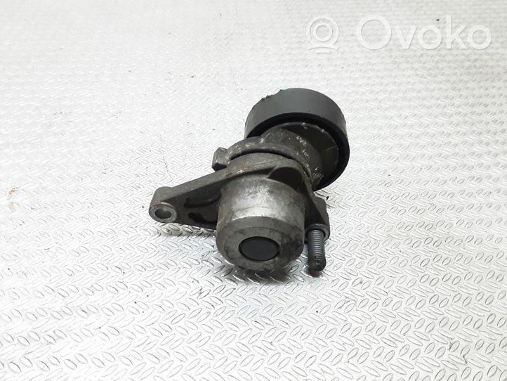 Citroen C2 Diržo įtempėjas 9652073680