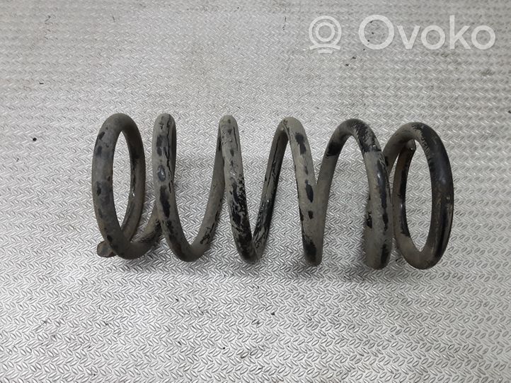 Hyundai Santa Fe Rear coil spring 