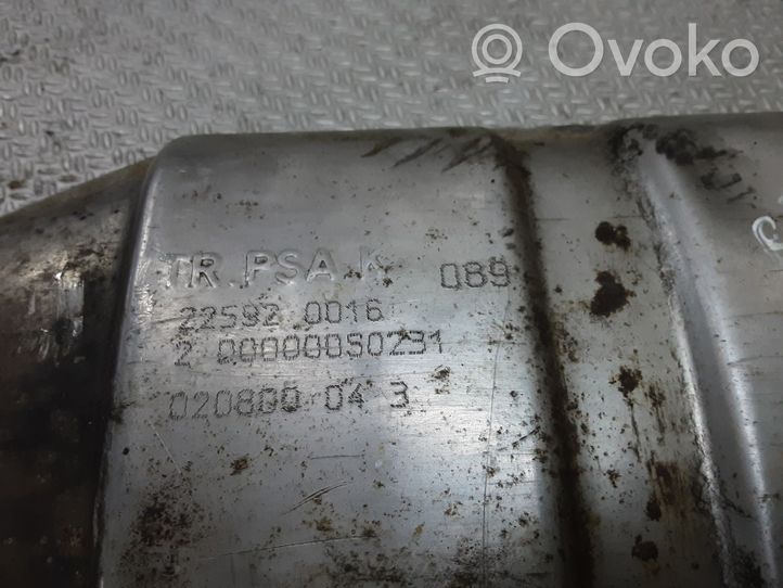 Citroen C4 I Filtre à particules catalyseur FAP / DPF TRPSAK089