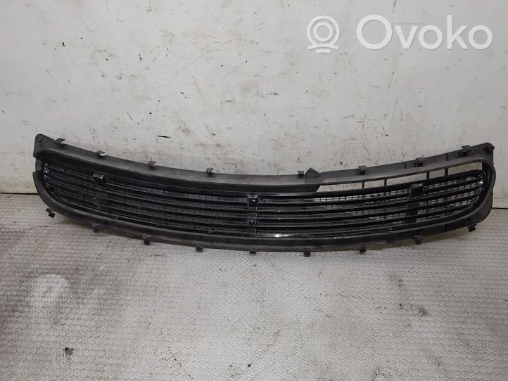 Mercedes-Benz S W220 Bonnet/hood grill 2208800705