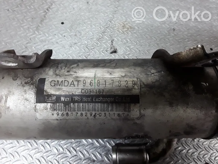 Chevrolet Captiva EGR valve cooler 96817829