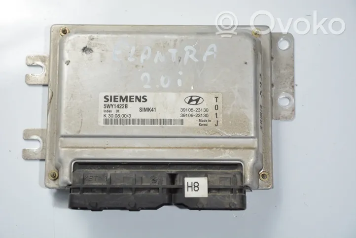 Hyundai Elantra Unité de commande, module ECU de moteur 5WY1422B