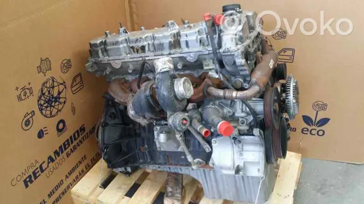 SsangYong Rexton Motor 665925