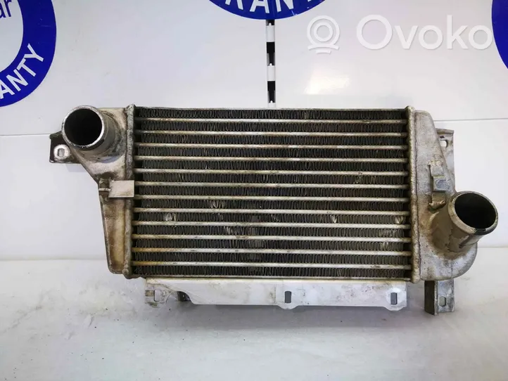 Tata Safari Chłodnica powietrza doładowującego / Intercooler 