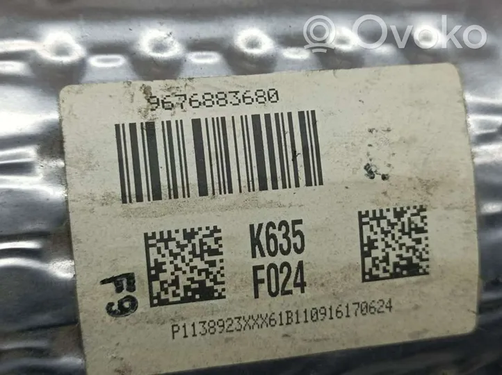 Citroen C4 II Filtr cząstek stałych Katalizator / FAP / DPF 9676883680