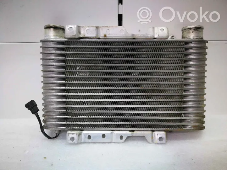 Mitsubishi Pajero Chłodnica powietrza doładowującego / Intercooler 