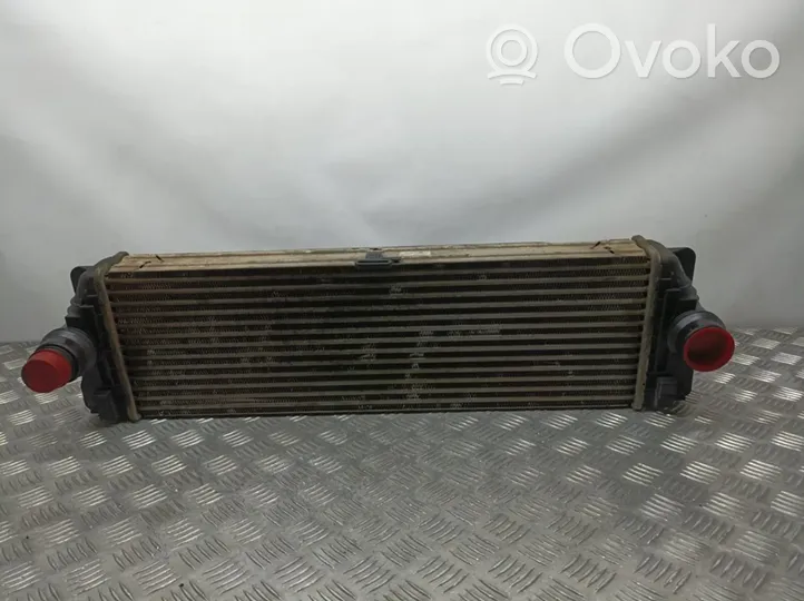 Volkswagen Crafter Chłodnica powietrza doładowującego / Intercooler A9065010201