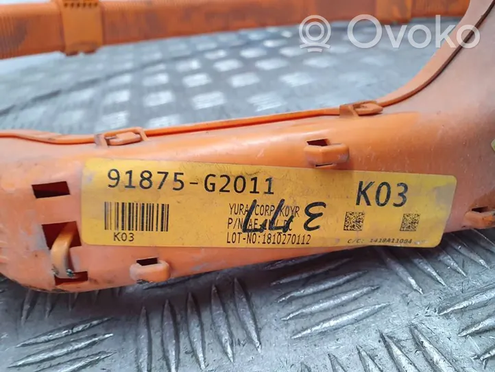 Hyundai Ioniq Other control units/modules 91875G2011