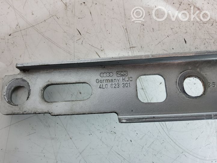 Audi Q7 4L Set di cerniere portiera anteriore 4L0823301