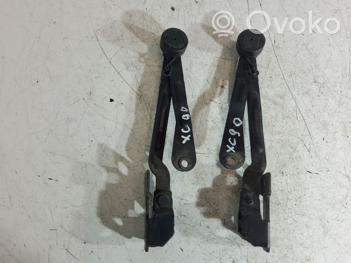 Volvo XC90 Set di cerniere portiera di carico 30674751