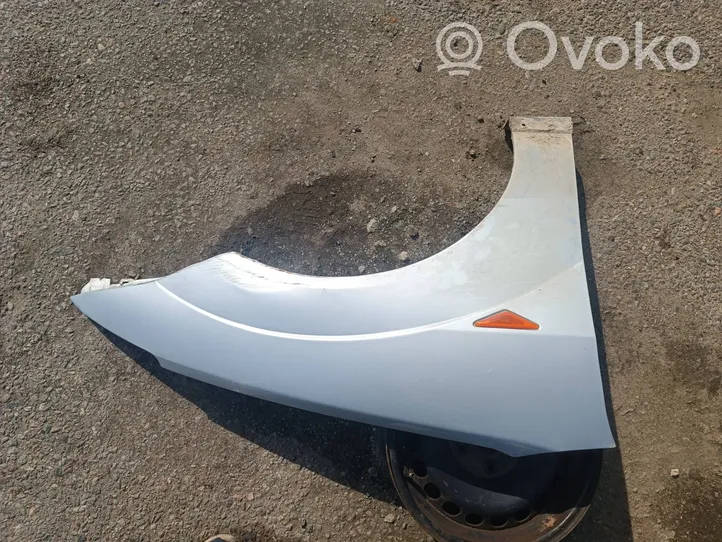 Ford Focus Fender 