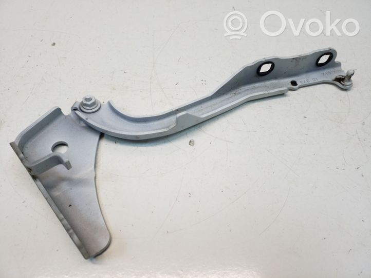 Chrysler 200 Engine bonnet/hood hinges 