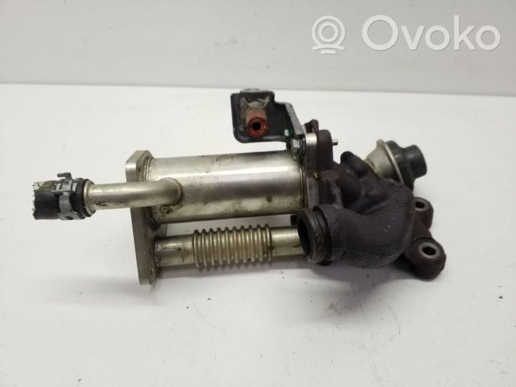 Nissan Juke I F15 EGR-venttiili/lauhdutin 