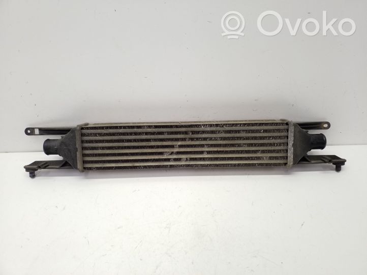 Fiat Punto (199) Chłodnica powietrza doładowującego / Intercooler 866452000