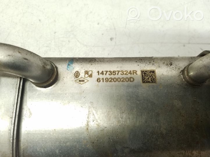 Nissan Juke I F15 EGR-venttiili/lauhdutin 147357324R