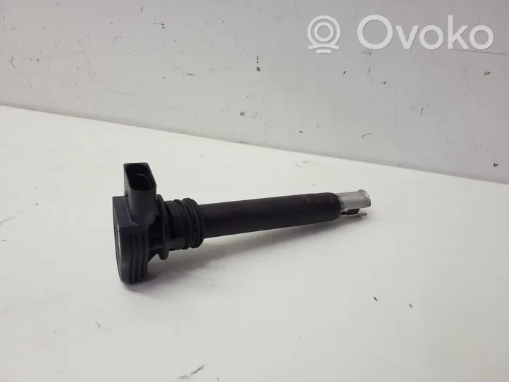 Volkswagen Tiguan High voltage ignition coil 0221604115