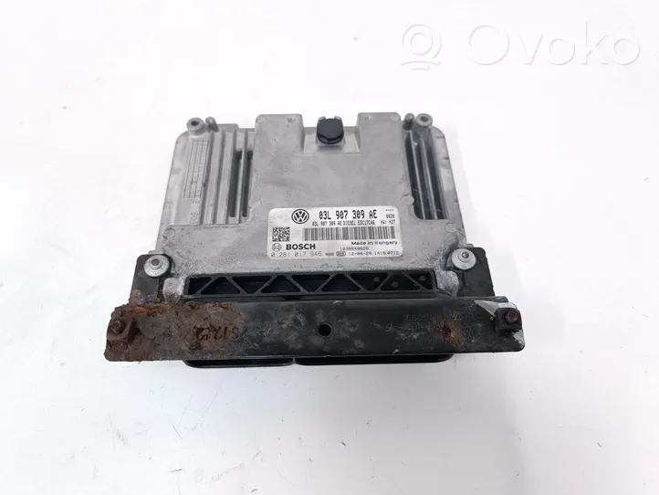 Volkswagen Tiguan Calculateur moteur ECU 03L907309AE