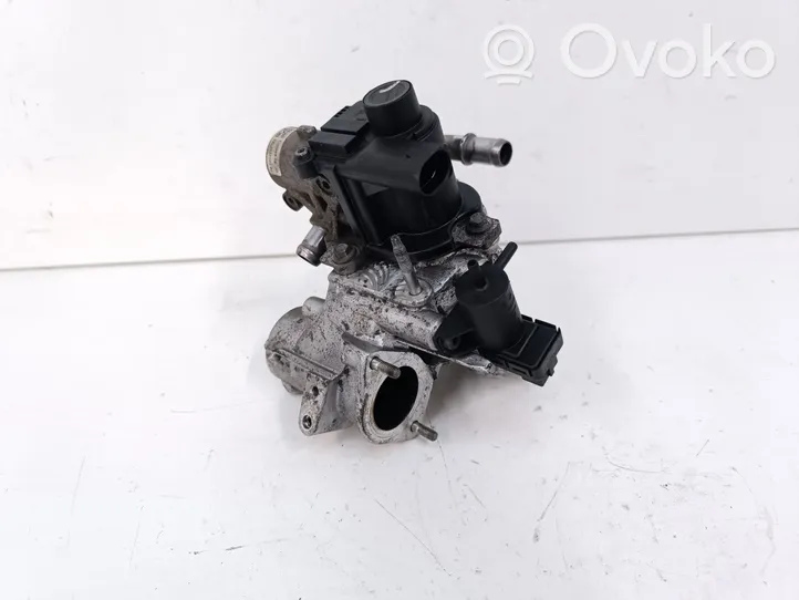 Nissan Juke I F15 EGR vožtuvas H8200836385