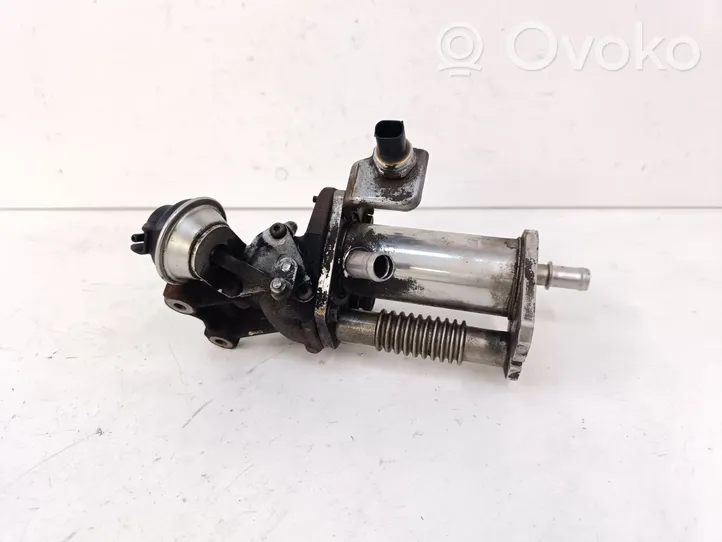 Nissan Juke I F15 EGR-venttiili/lauhdutin 147355713R