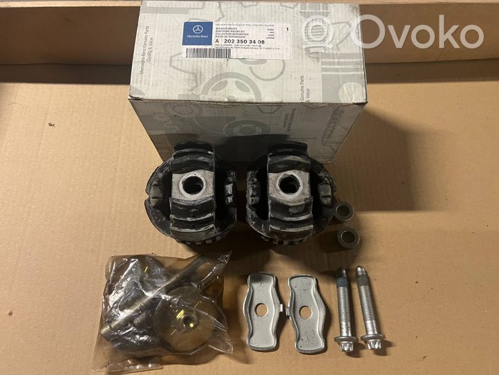 Mercedes-Benz C W202 Set del kit di montaggio della sospensione posteriore A2023503408