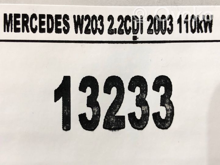 Mercedes-Benz C W203 Autres éléments de garniture marchepied 