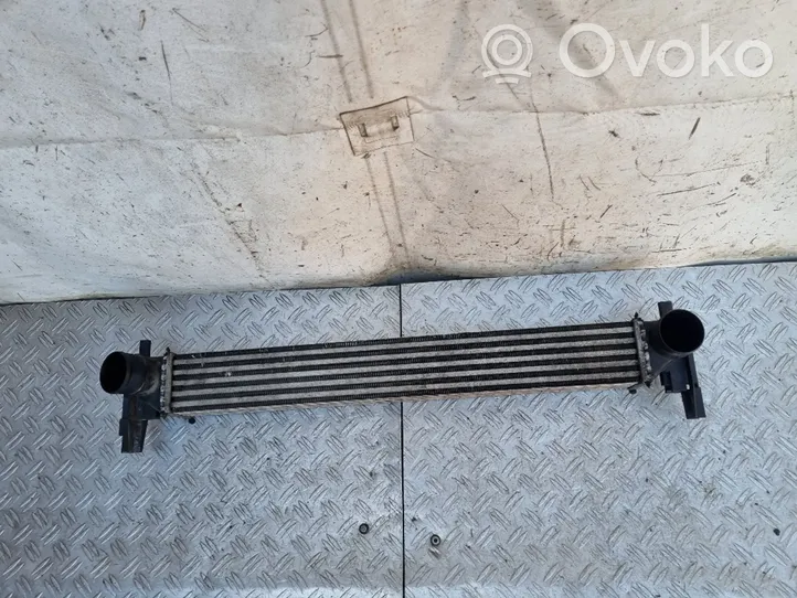 Skoda Rapid (NH) Starpdzesētāja radiators 6R0145805