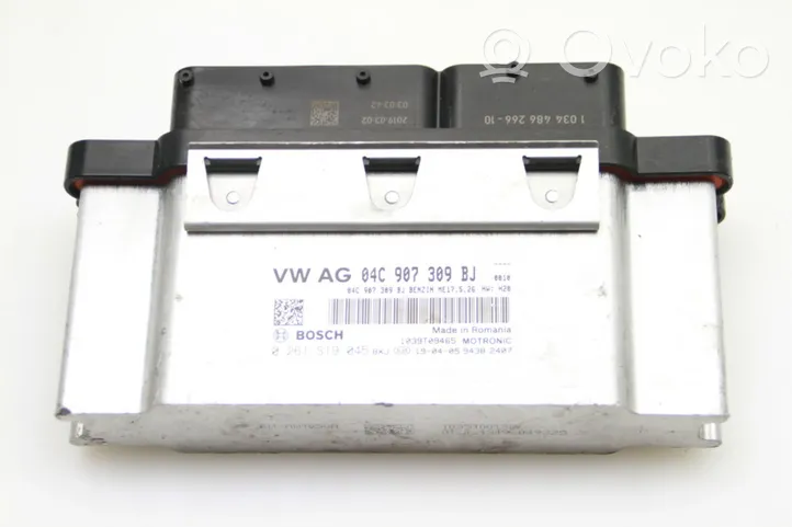 Skoda Fabia Mk4 (6VA) Calculateur moteur ECU 04C907309BJ