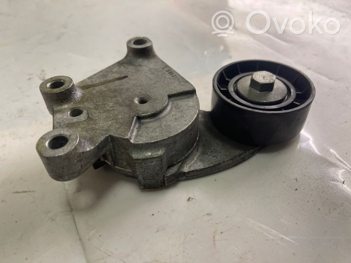 Volvo V40 Tendicinghia generatore/alternatore 846143