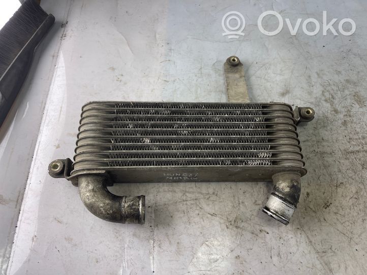 Hyundai Matrix Chłodnica powietrza doładowującego / Intercooler 2827027620